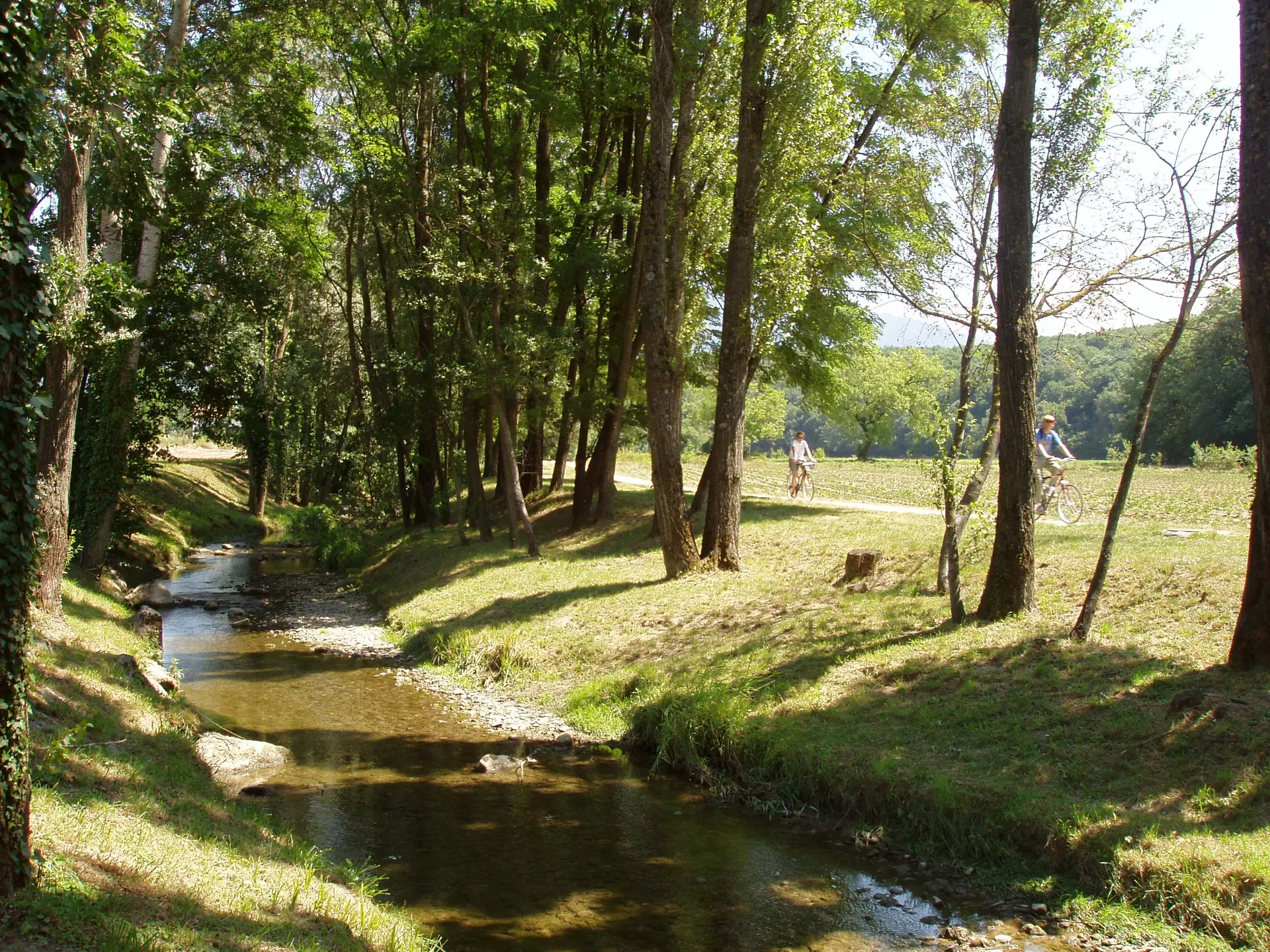 Les bords du Foron