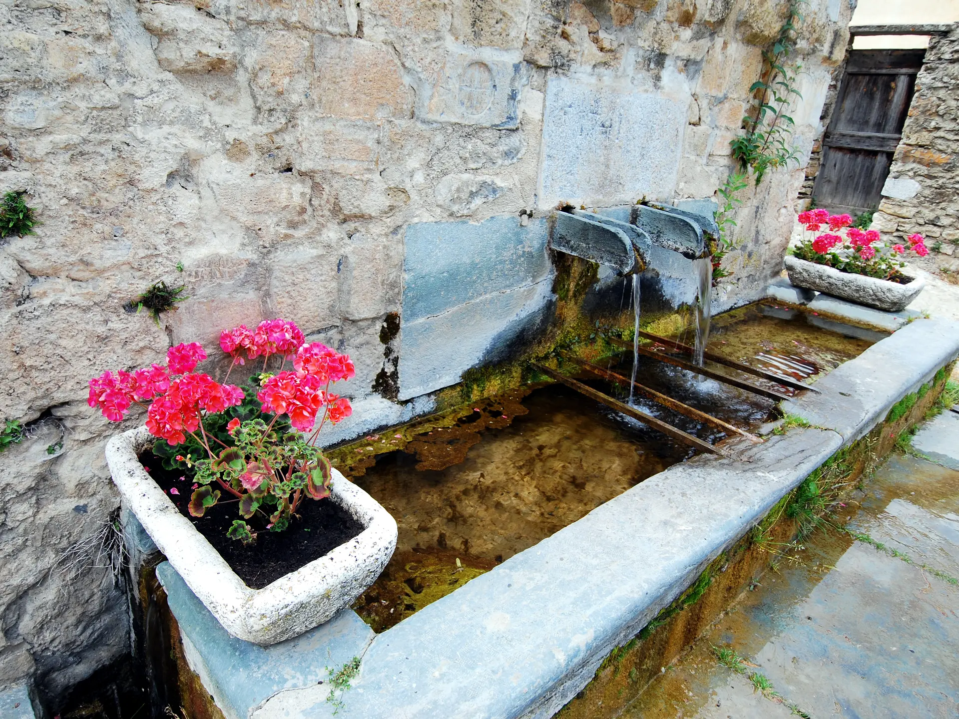 fontaine vieille