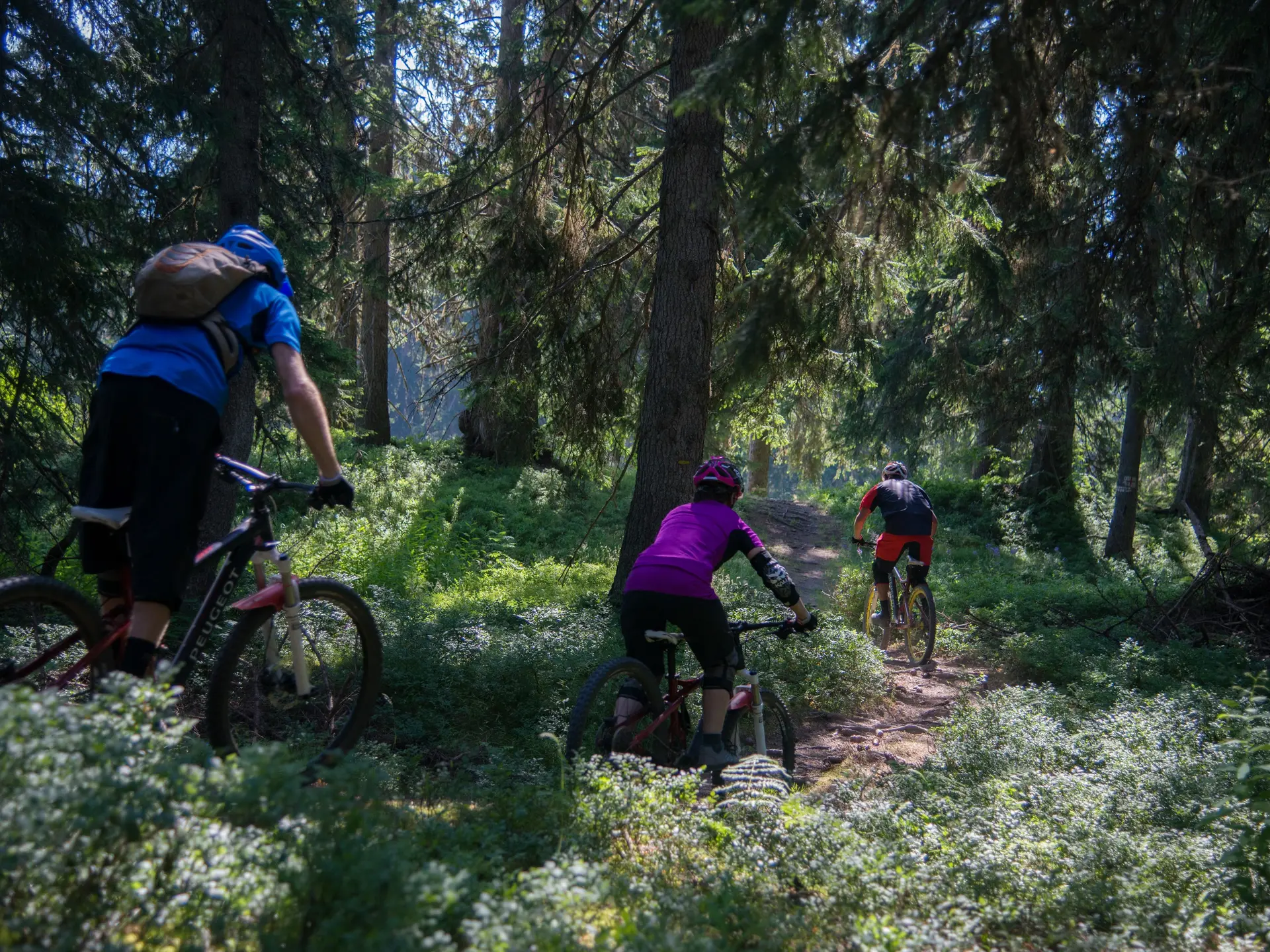 Enduro en Beaufortain : l'Adret'Naline