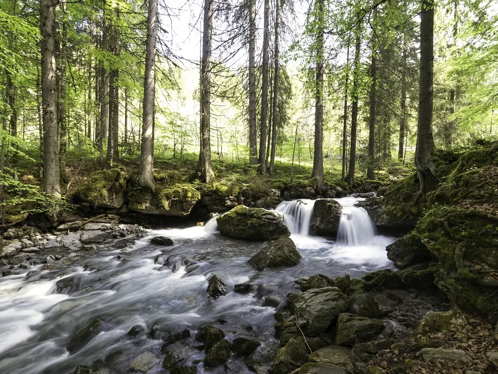 Cascade de la rivière d'Ardent