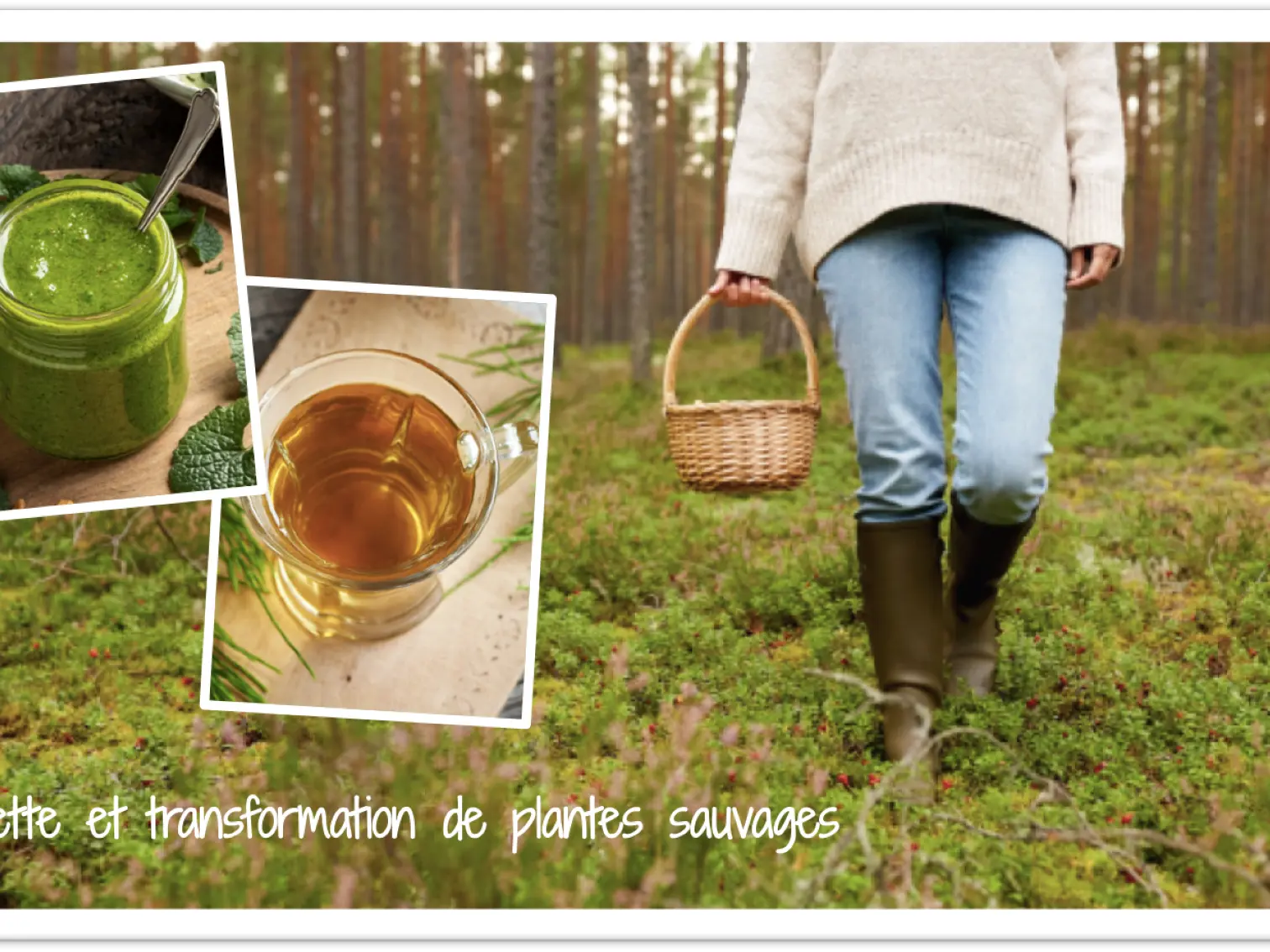 atelier plante transformée