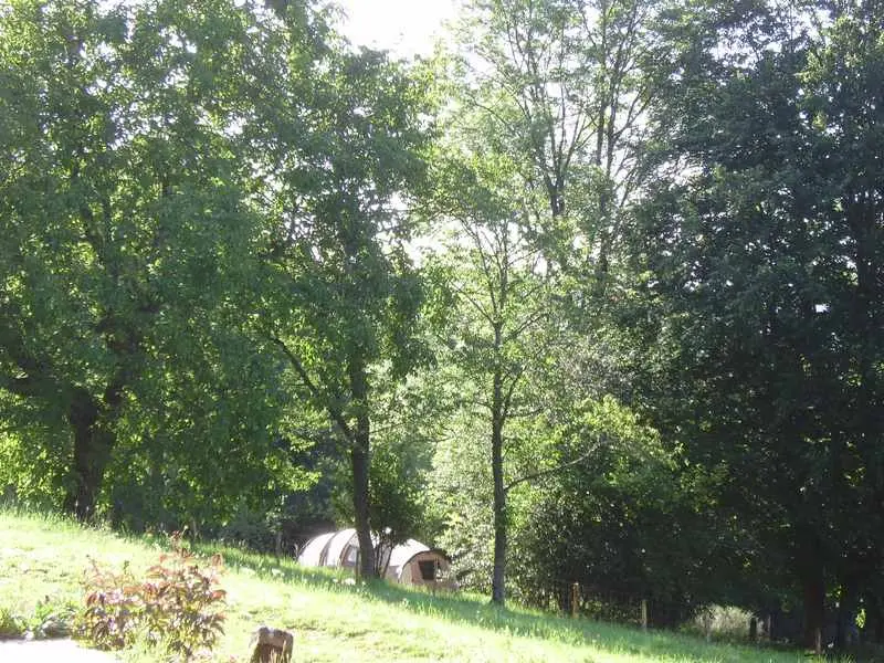 Terrain