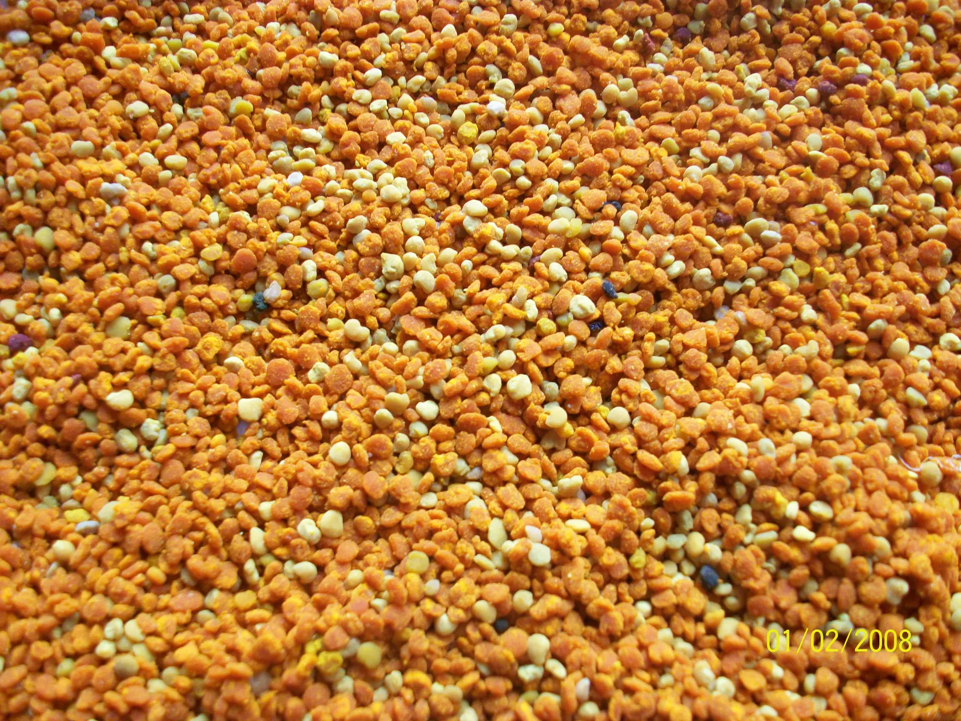 Moulin à huile Jullien