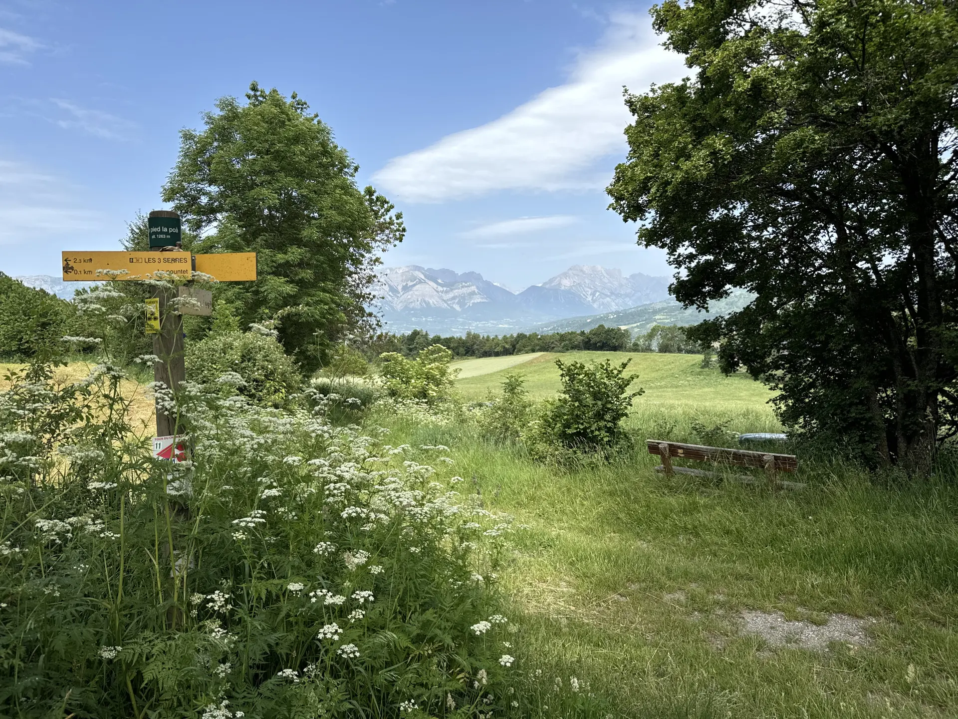 Sur le chemin du Bois du Priou, lieu-dit Le Pied la poa