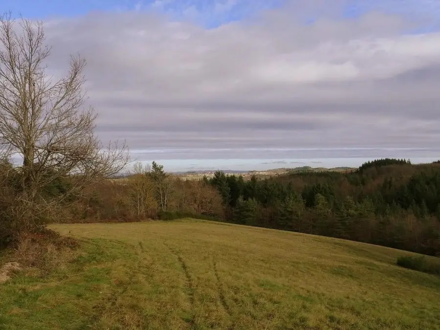 sentier des renardières