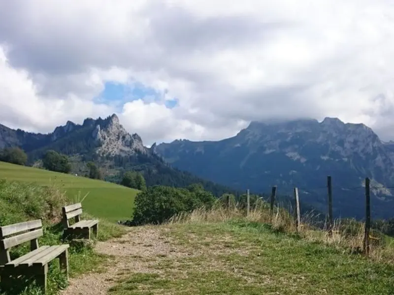 Plateau de gavot