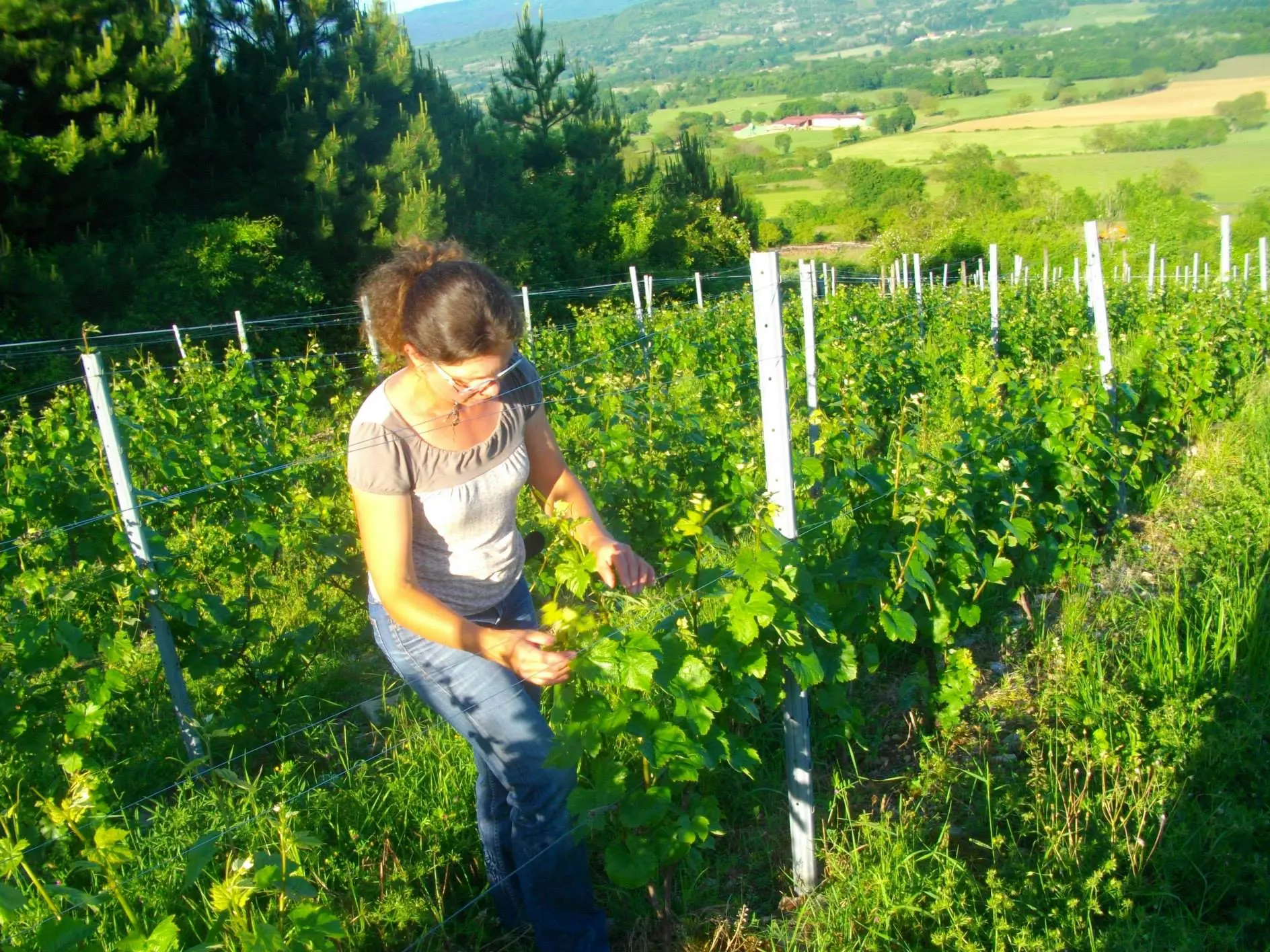 Domaine Antoine Véronique Cerdon
