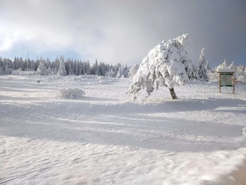 Plateau de la Verrerie