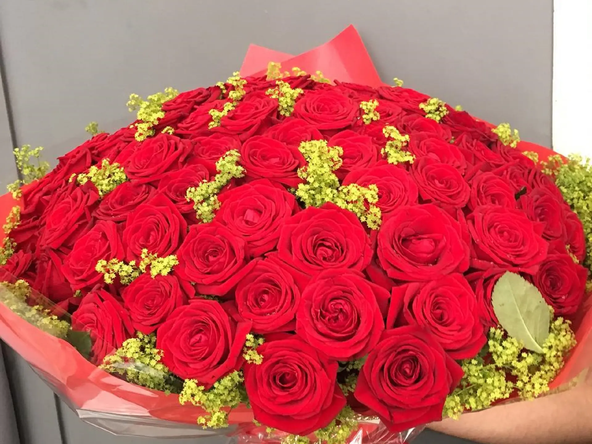 Gotham fleurs_Beausoleil