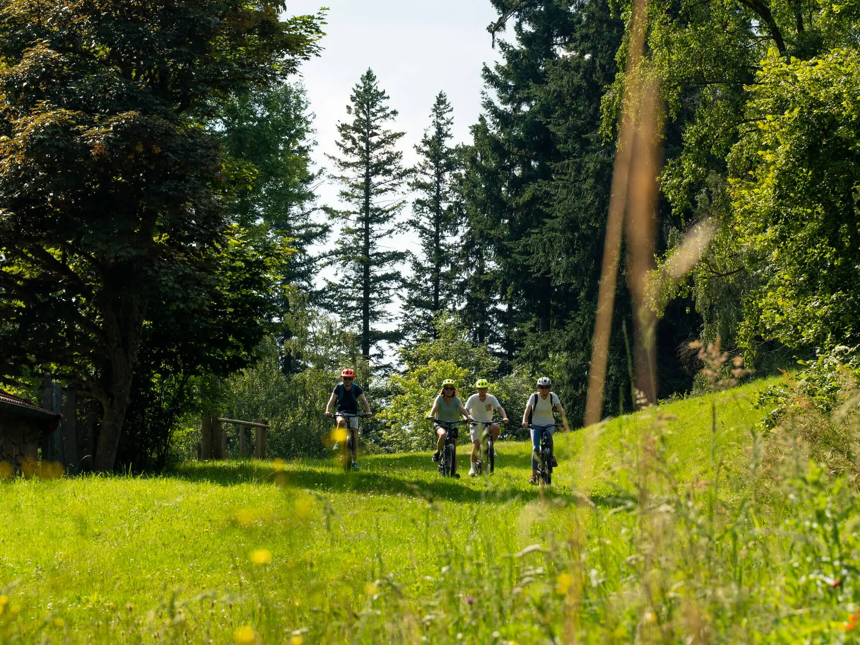 Tour du Pays Roannais