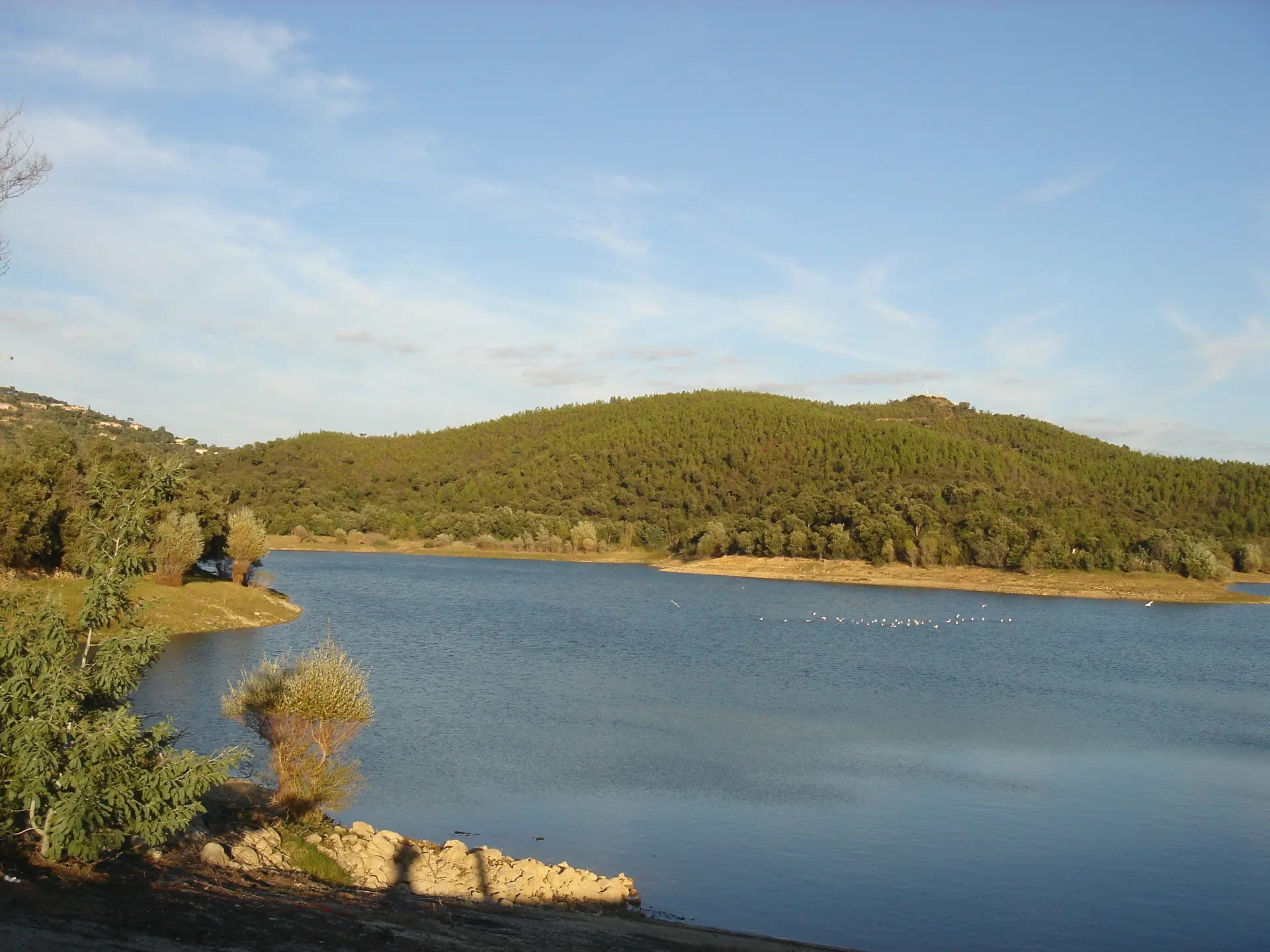 Barrage du Trapan - Bormes-les-Mimosas