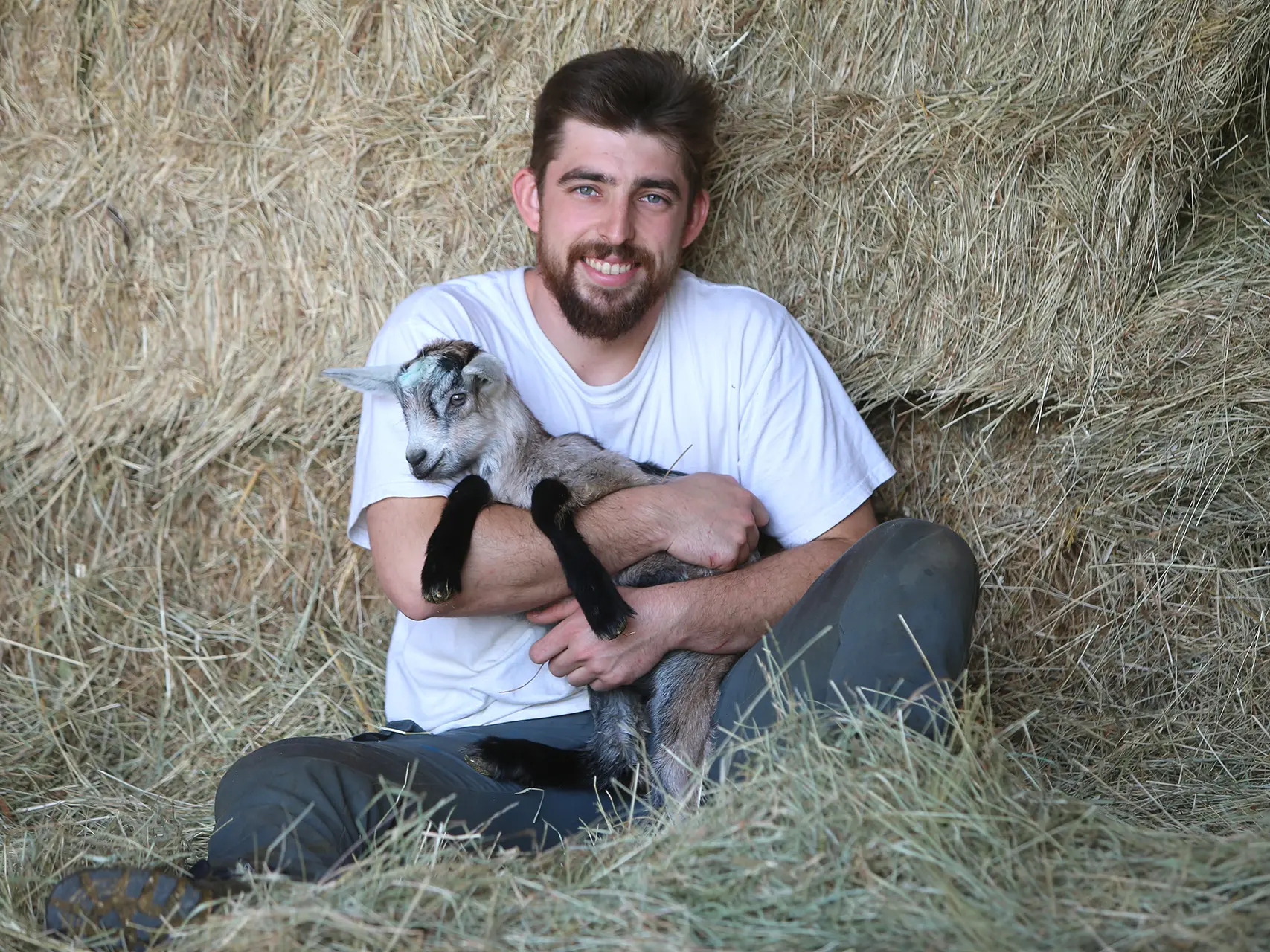 Fromagerie Le P'tit Milou