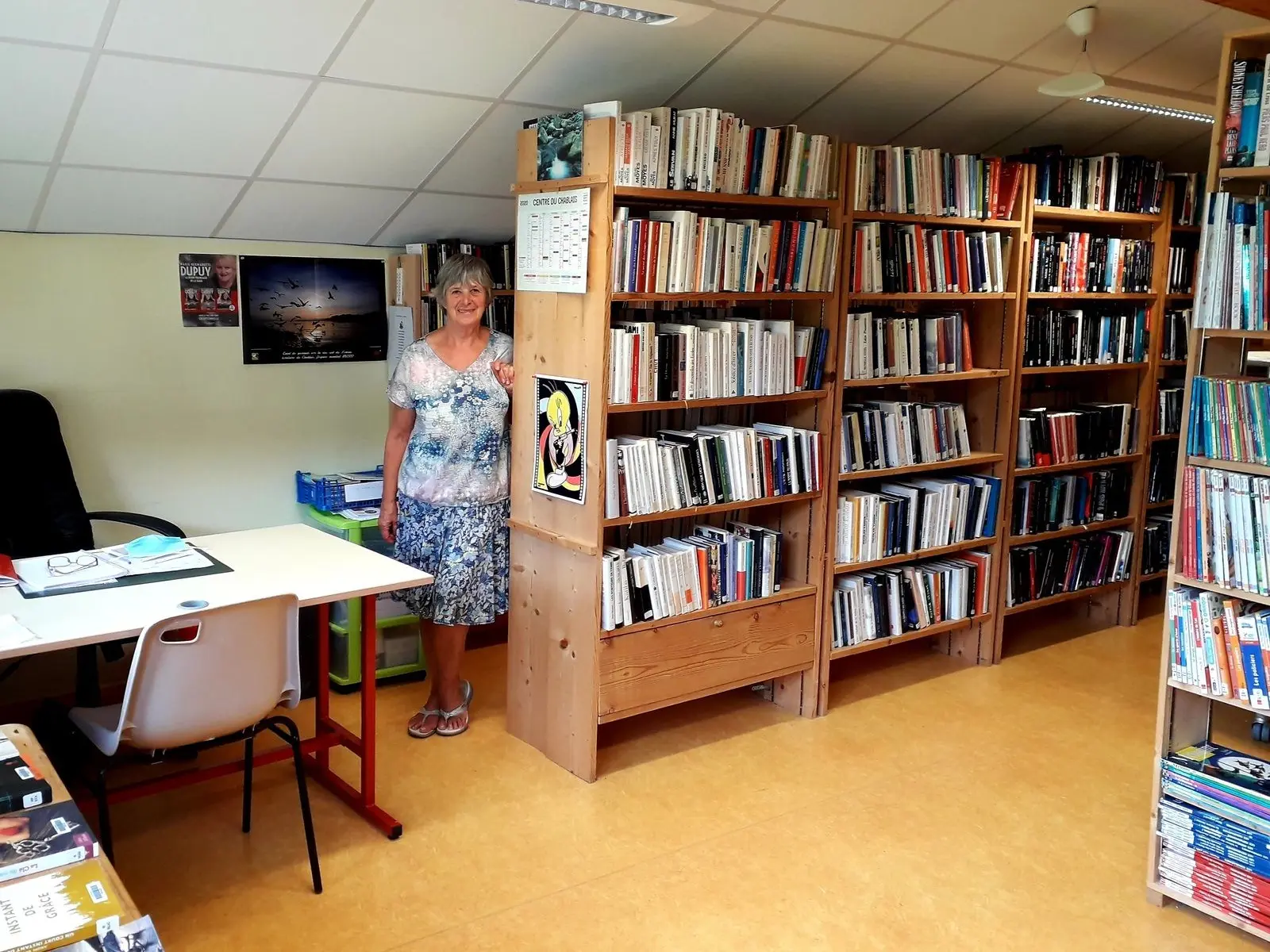 Bibliothèque à Vacheresse