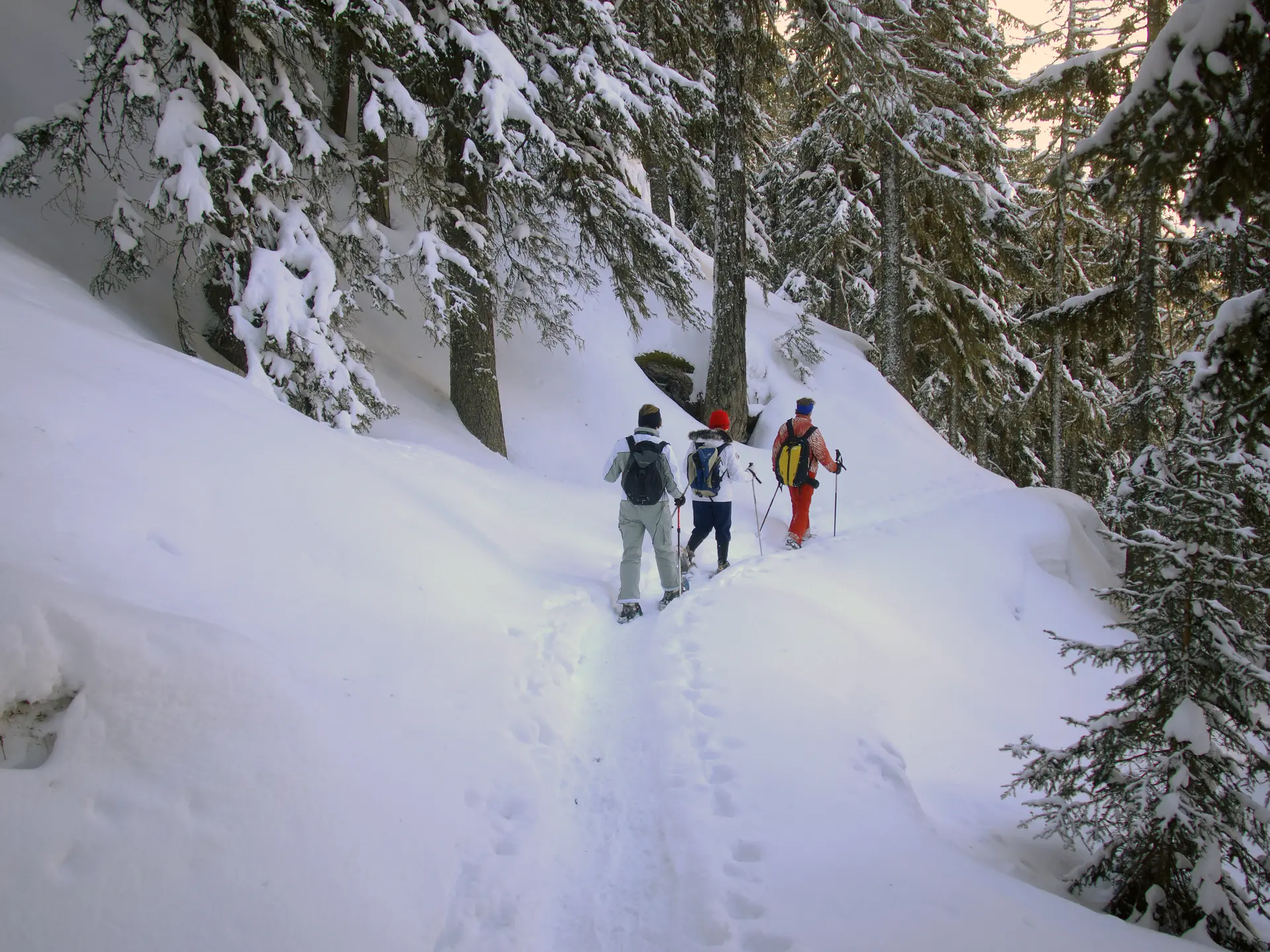 Randonnée en raquettes dans la forêt