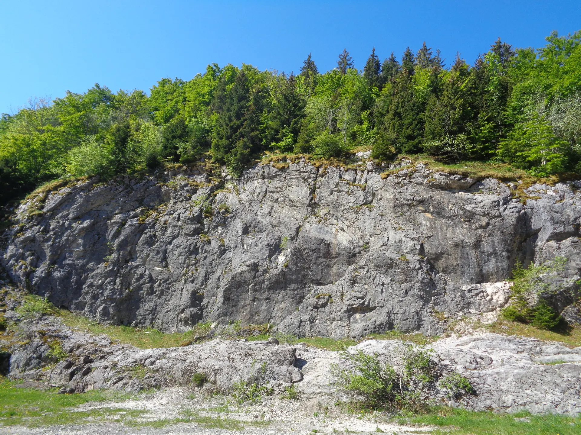 Plateau de Plaine Joux