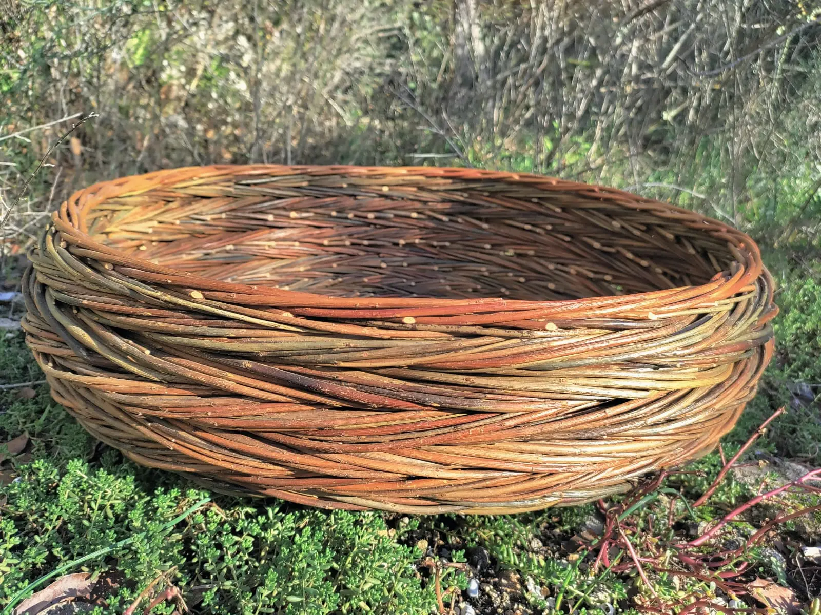 Atelier de vannerie grande panière en torons au musée de la vannerie à Cadenet_Cadenet
