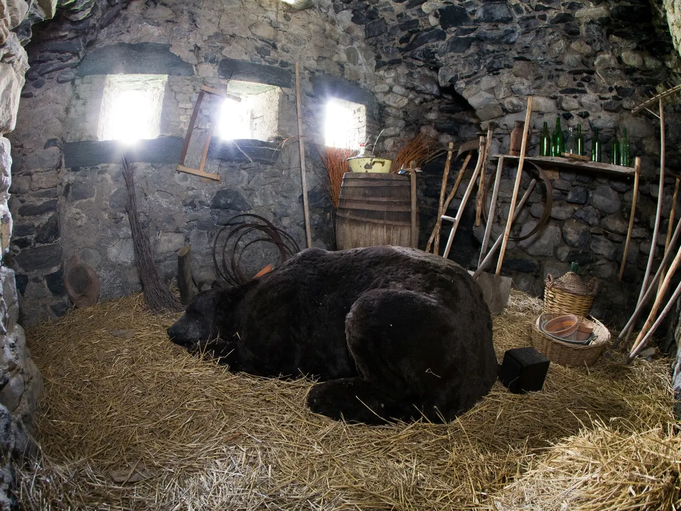 Le Donjon de l'ours qui dort