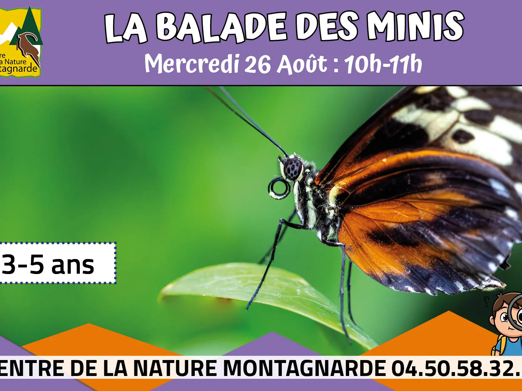Mini papillon