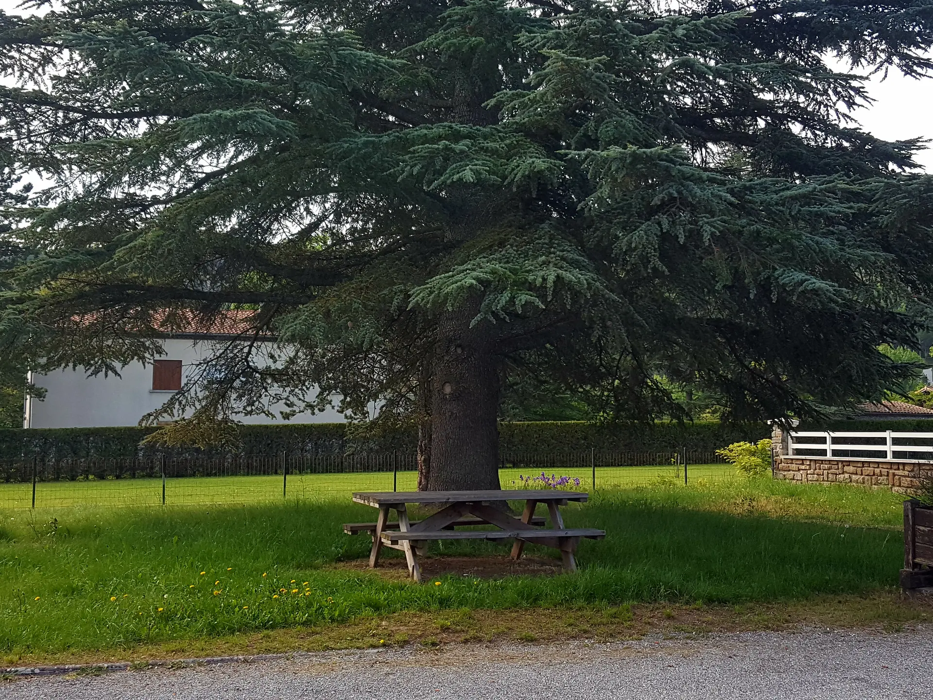 Aire de pique-nique de Pont-Lagrand