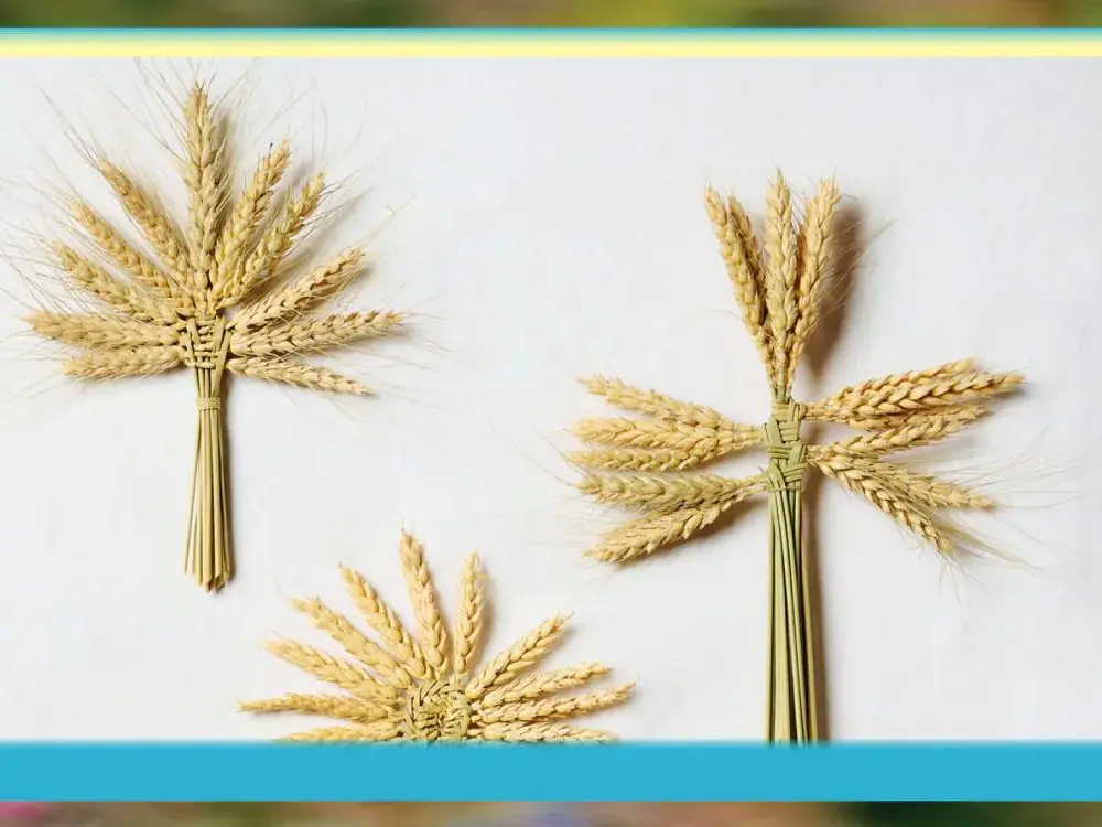 épis de blés tressés