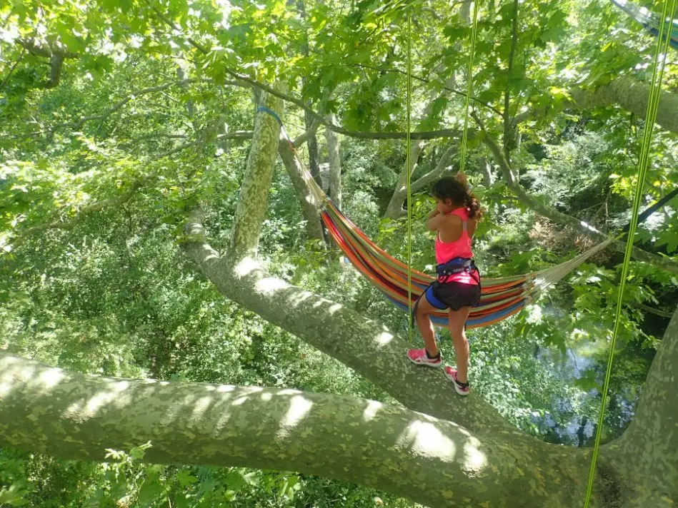 dans les arbres, en famille ou entre amis