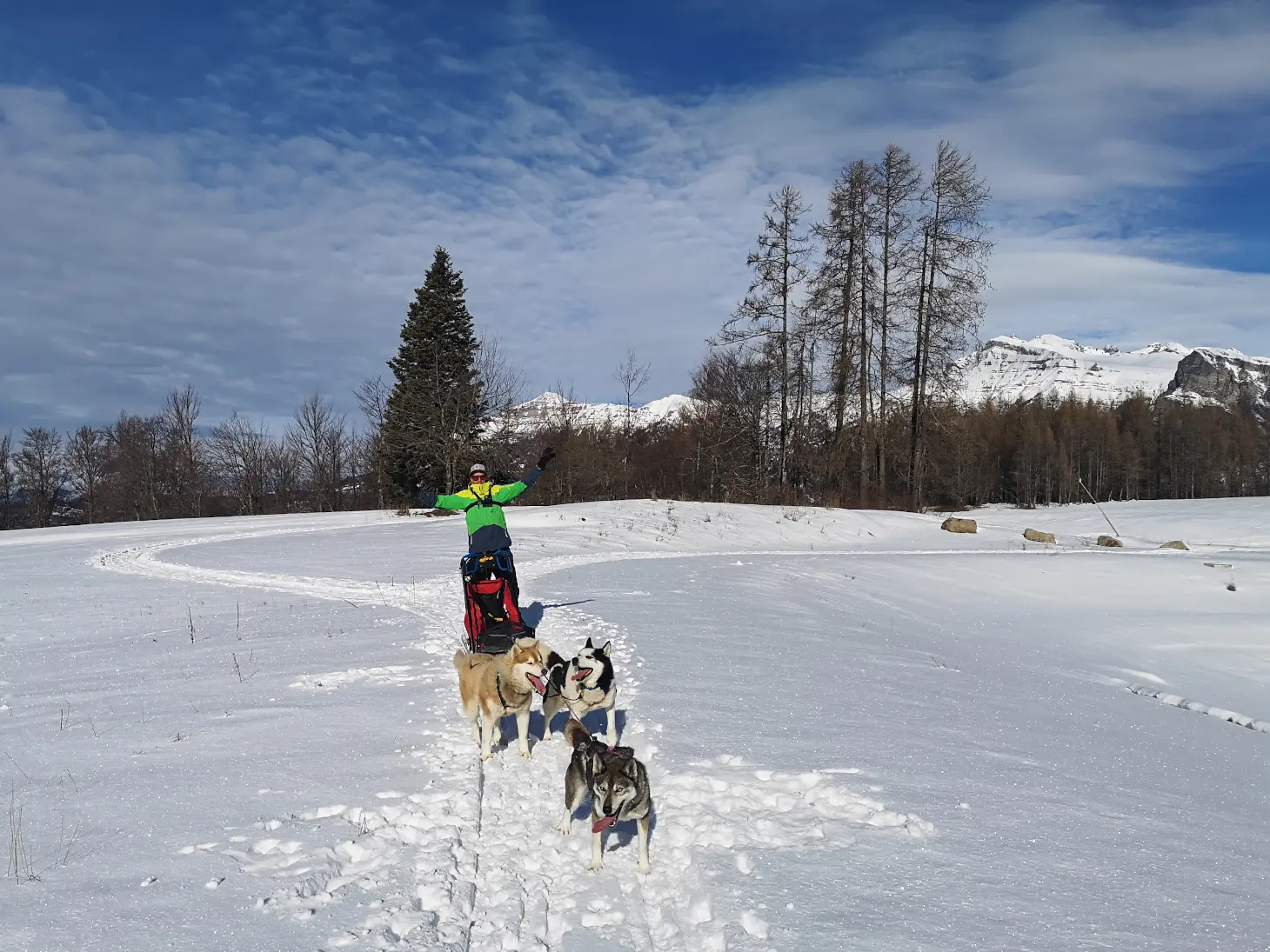 Conduite d'un traîneau à chiens avec Passion Traineau