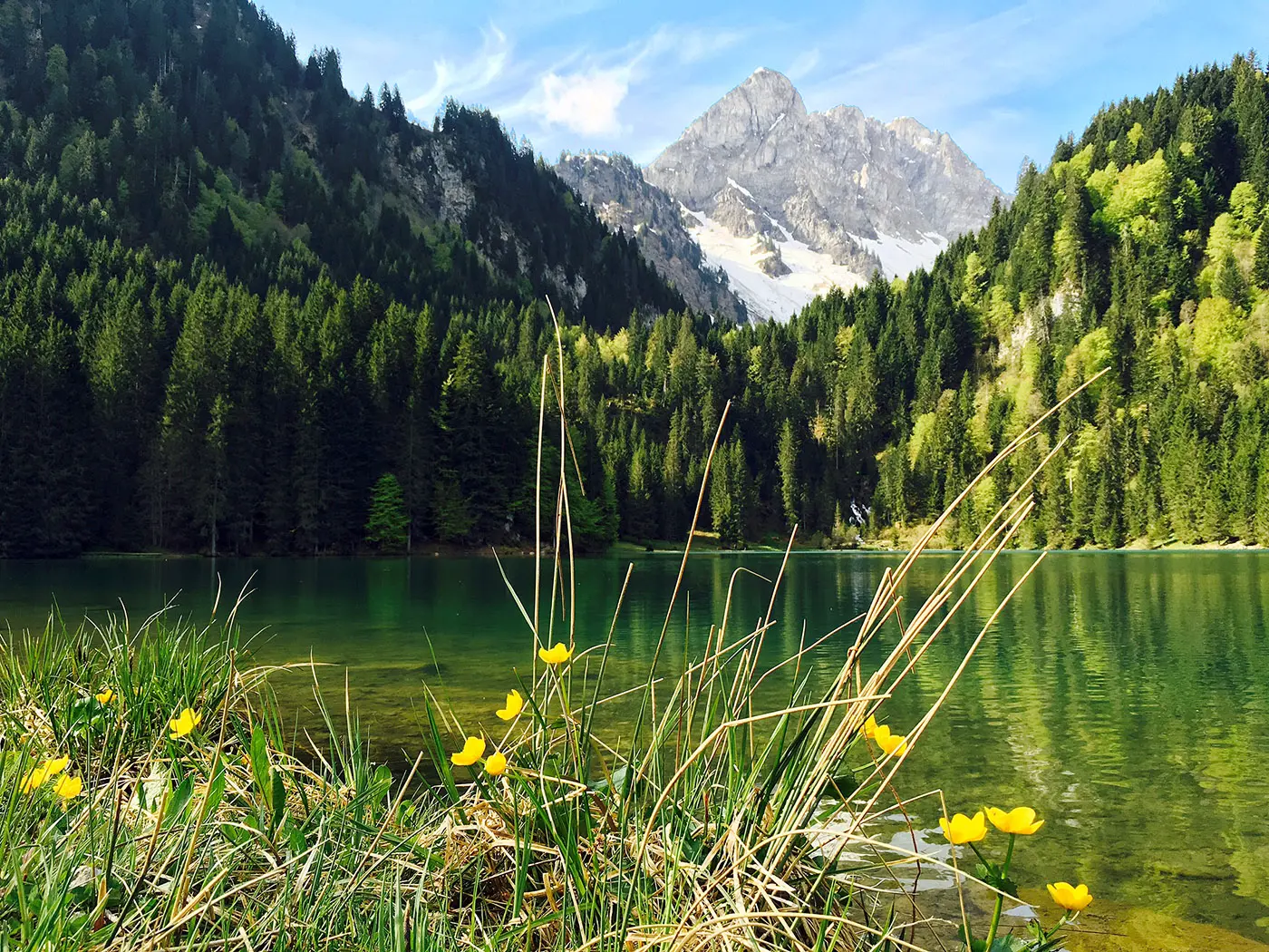 Lac des Plagnes
