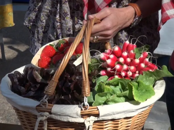 HOCQUEL Alain - Coll. CDT Vaucluse