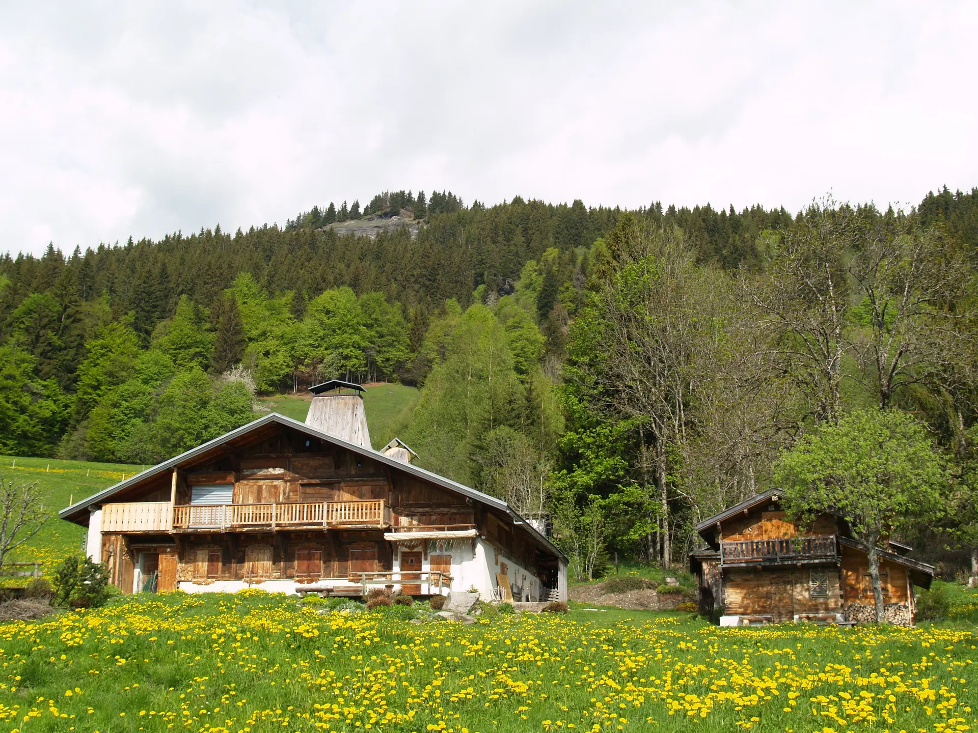 Chalet