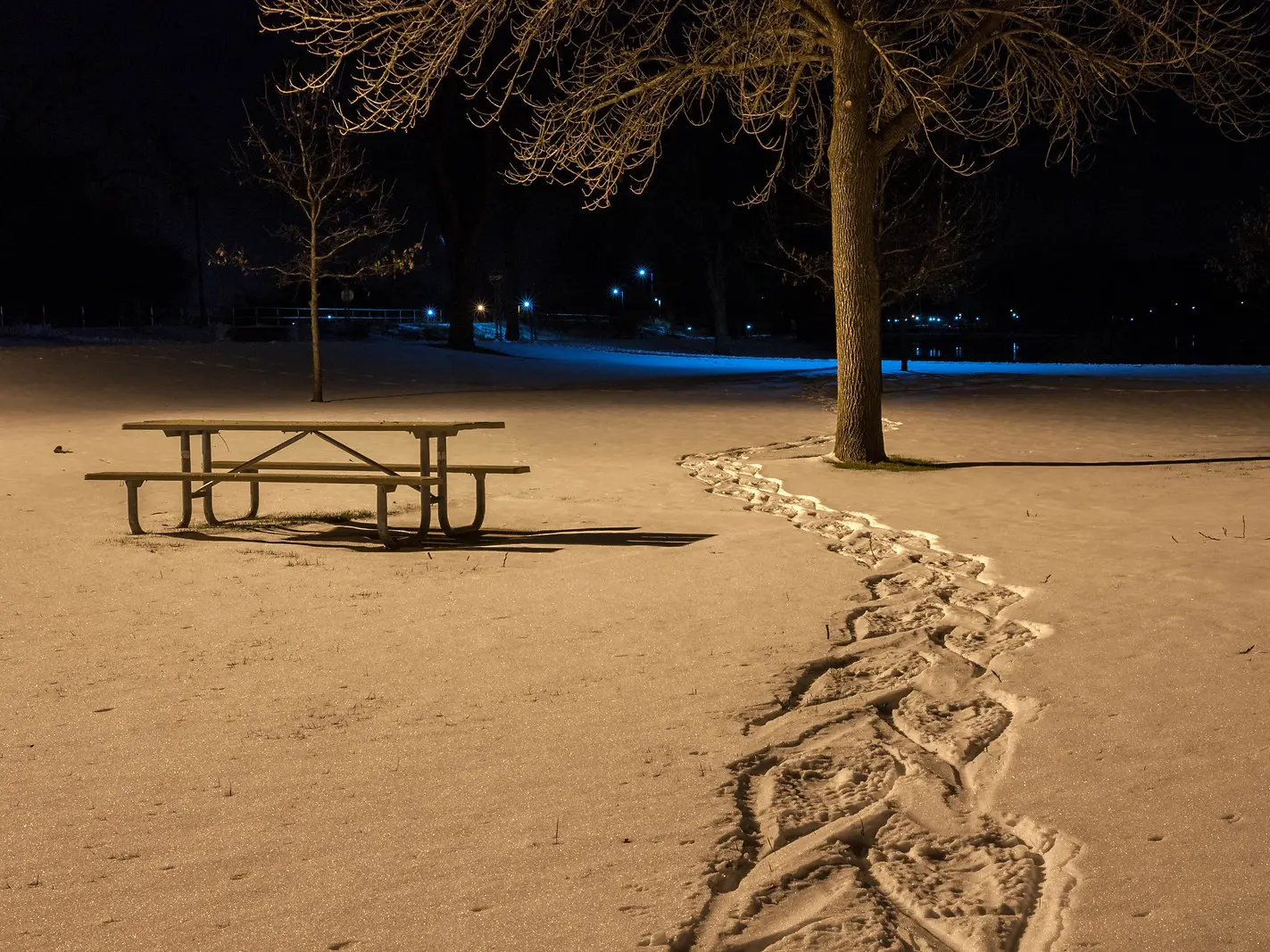 Nocturne en raquettes