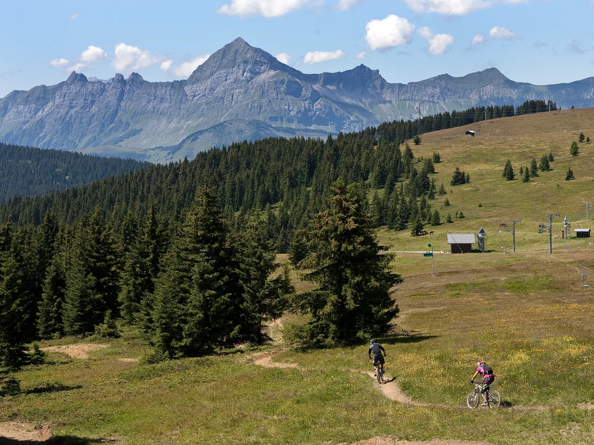 DH VTT - La Coyote