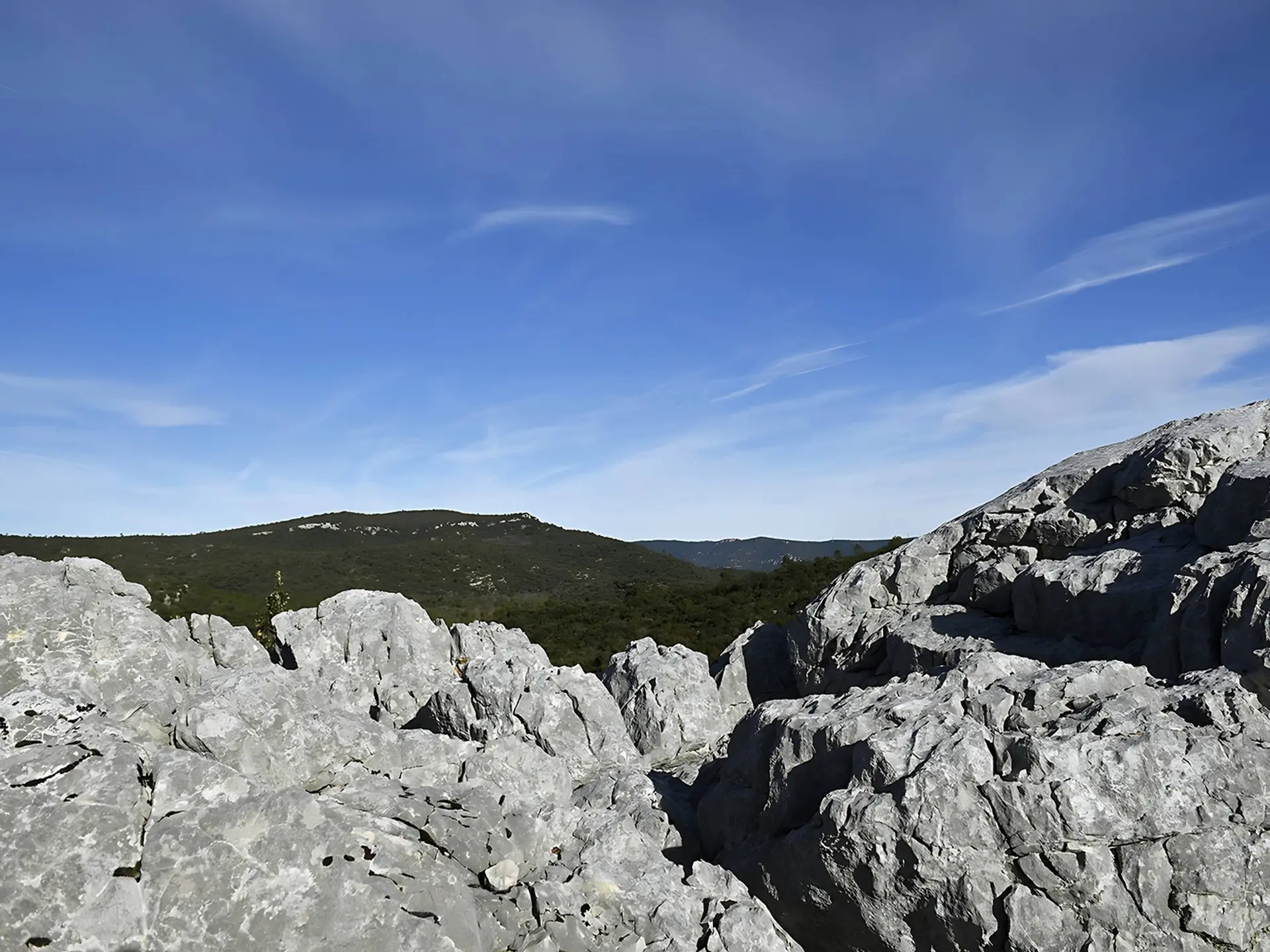 Vue sur les roches prédominantes et le massif forestier à l'arrière plan