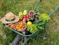 Fruits et Légumes