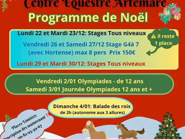 Stages des vacances de Noël au centre équestre d'Artemare_Artemare