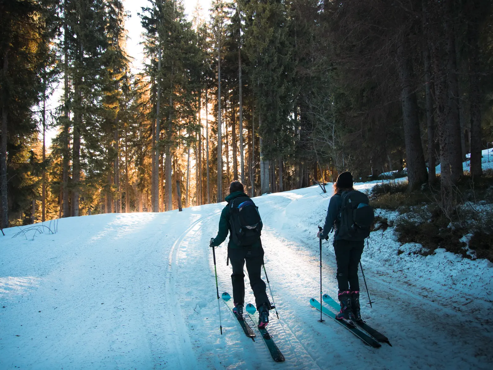 forêt, skieuses de dos