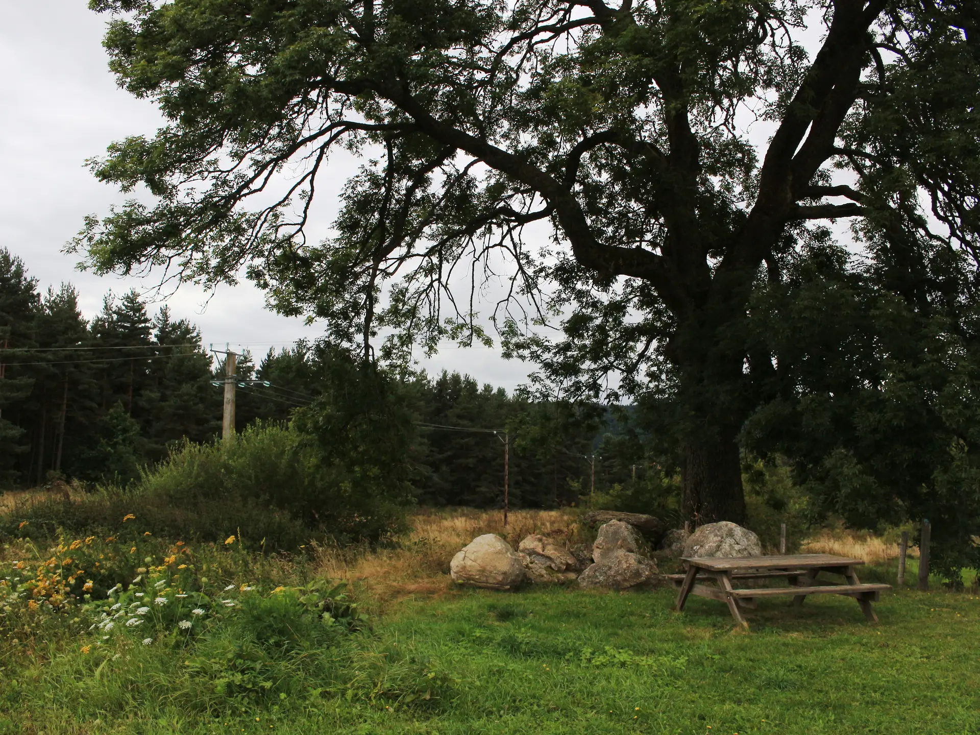 Vers le sentier du marais