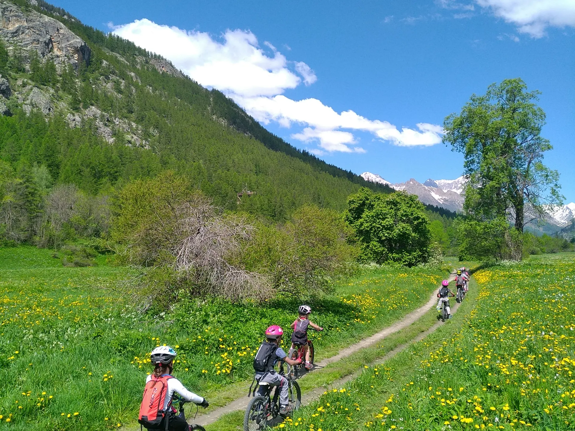 Balade à travers les champs de la Guisane