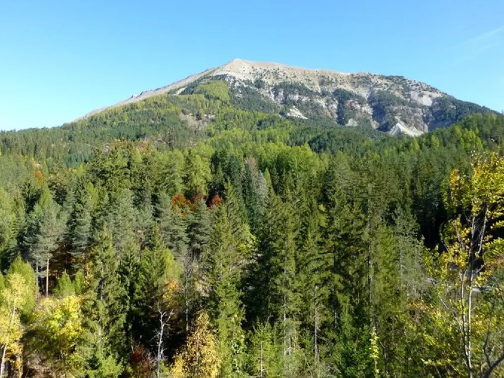 Le_vernet_forêt_du_labouret