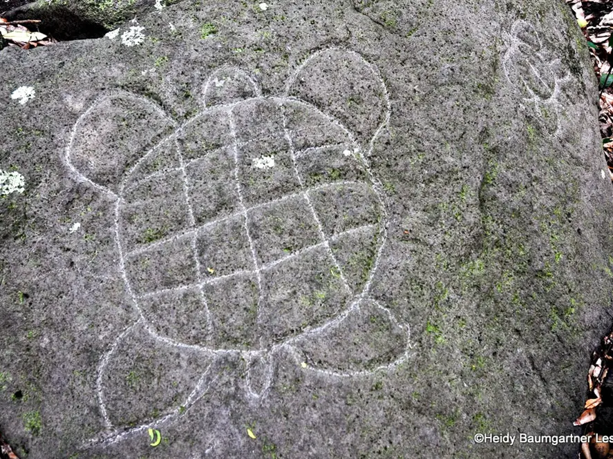 Pétroglyphes de Haranae à Maupiti