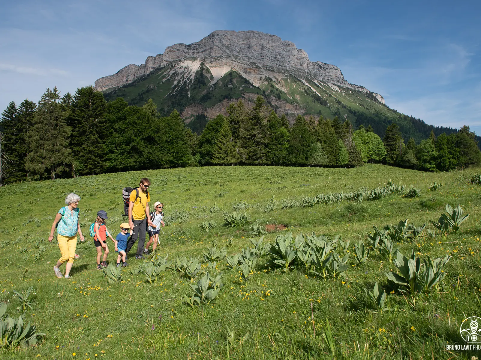 Les Emeindras sous Chamechaude