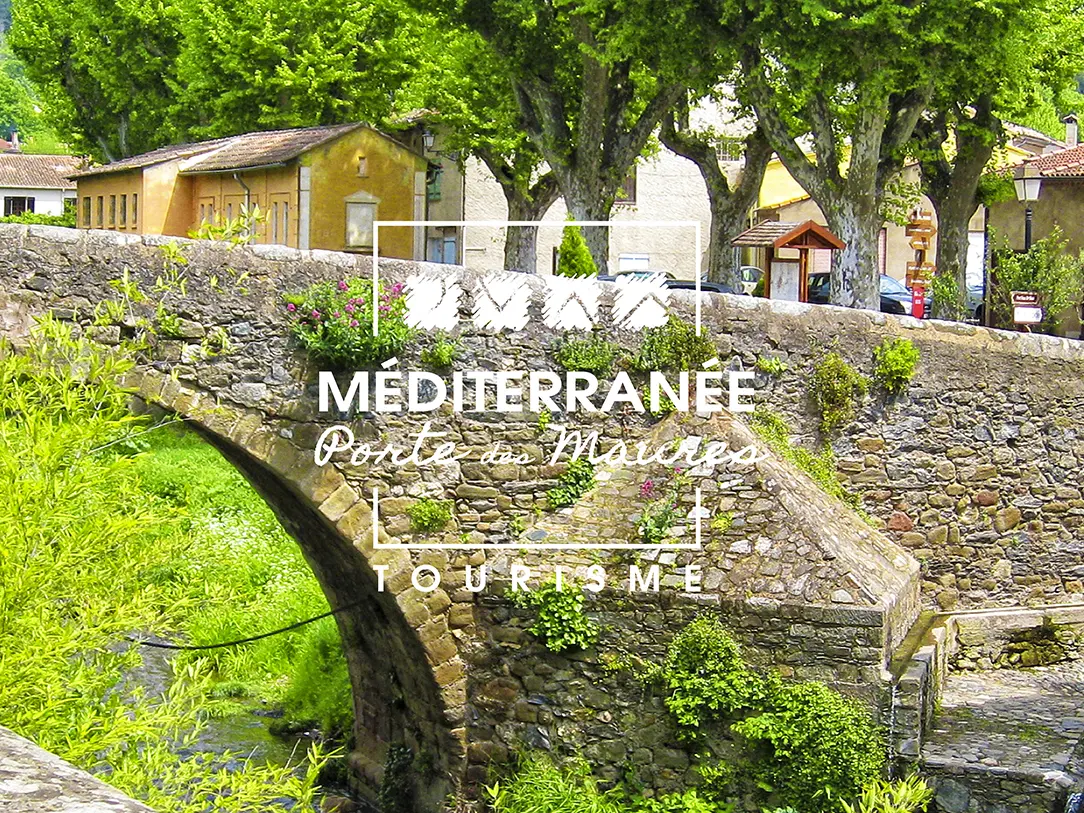 Les Châtaigne en méditerranée Porte des Maures