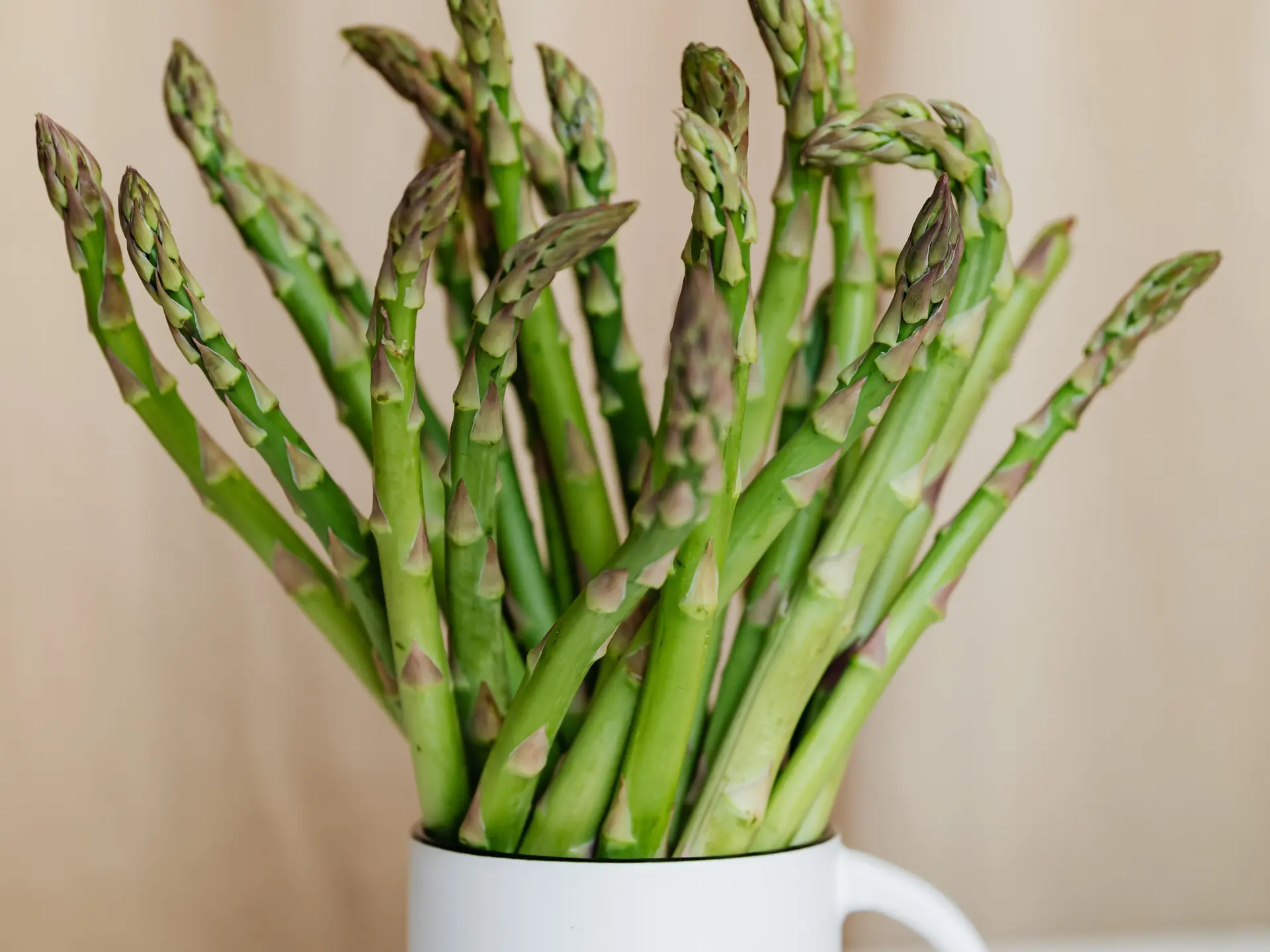 bouquet d'asperges
