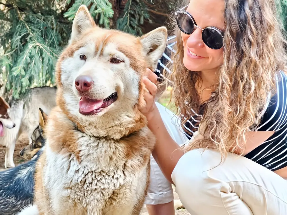 Visite du Parc nordique avec Travel Dog