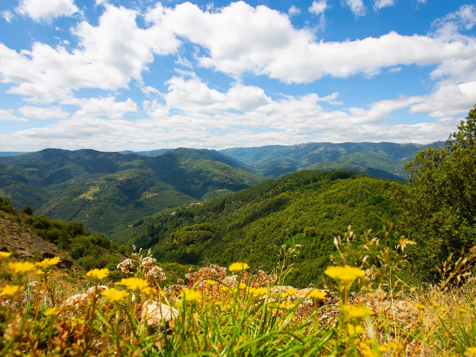 Vue sur les Monts d'Ardèche