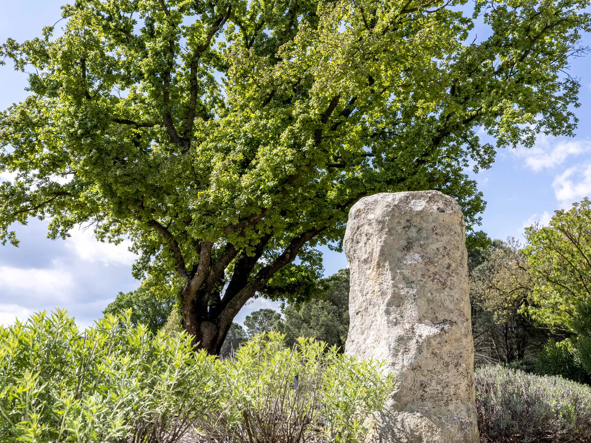 Menhir à Grimaud