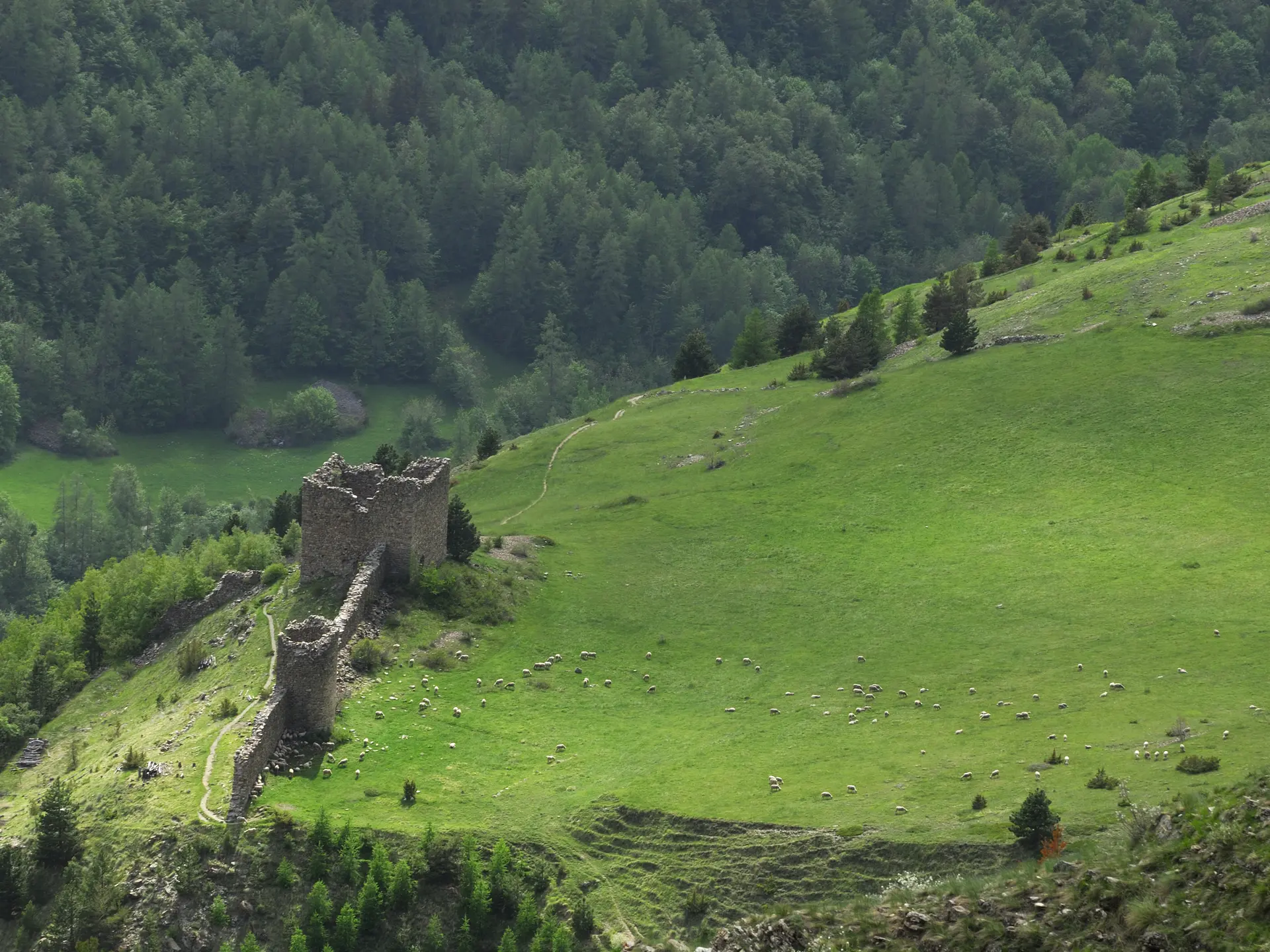 ©Vallée de Réallon Serre-Ponçon