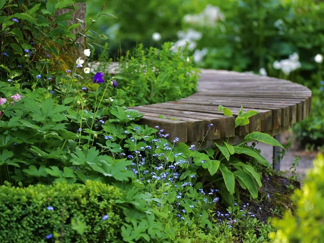 Banc dans un parc