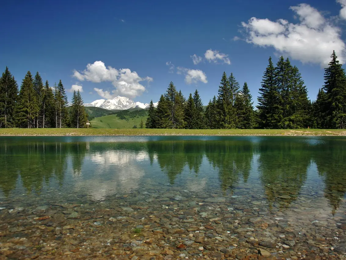 Plan d'eau du Mont Lachat - Site de pèche