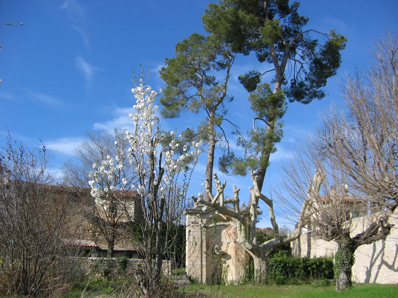 Le grand jardin