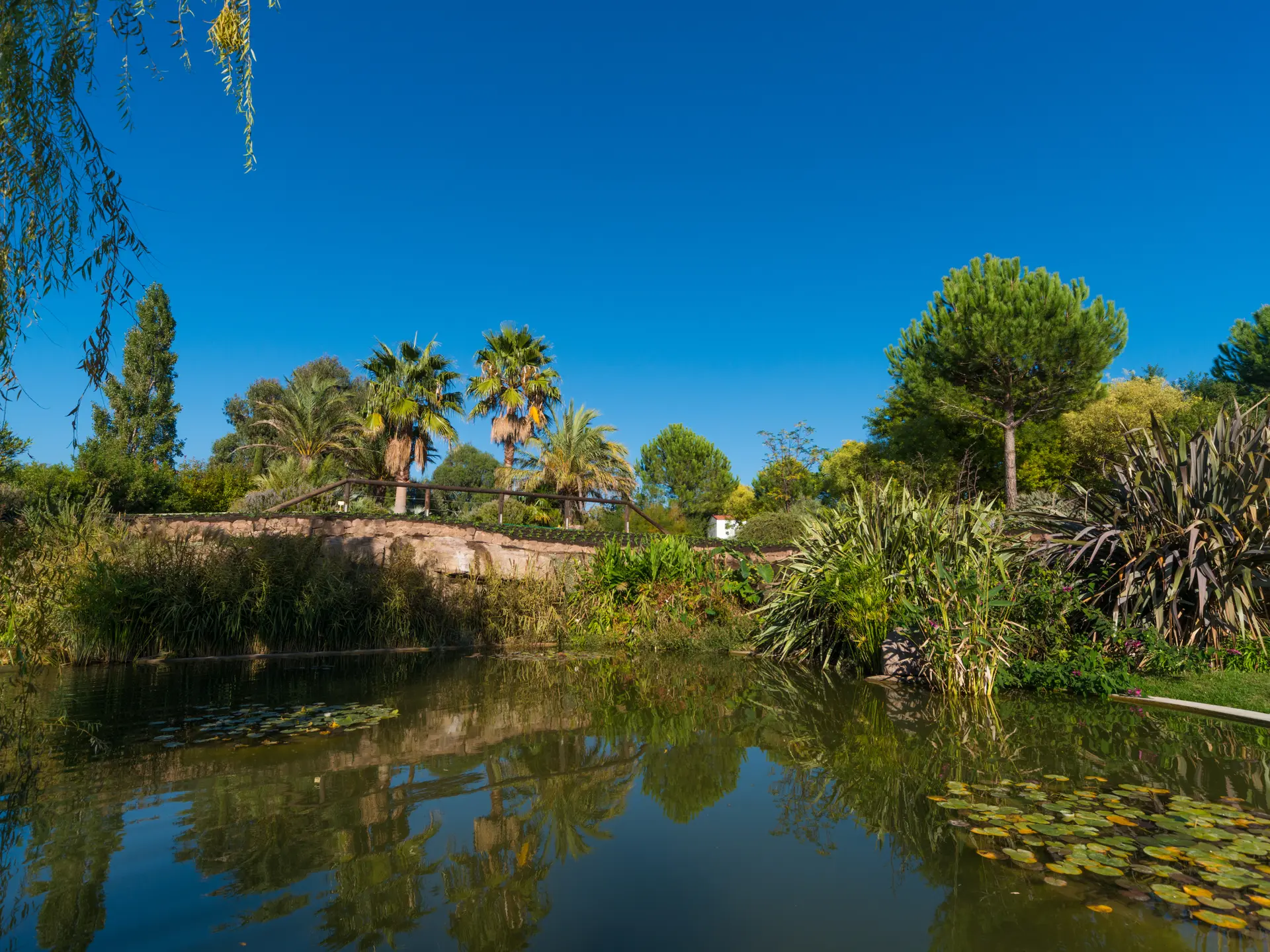 Jardin de l'Île Verte